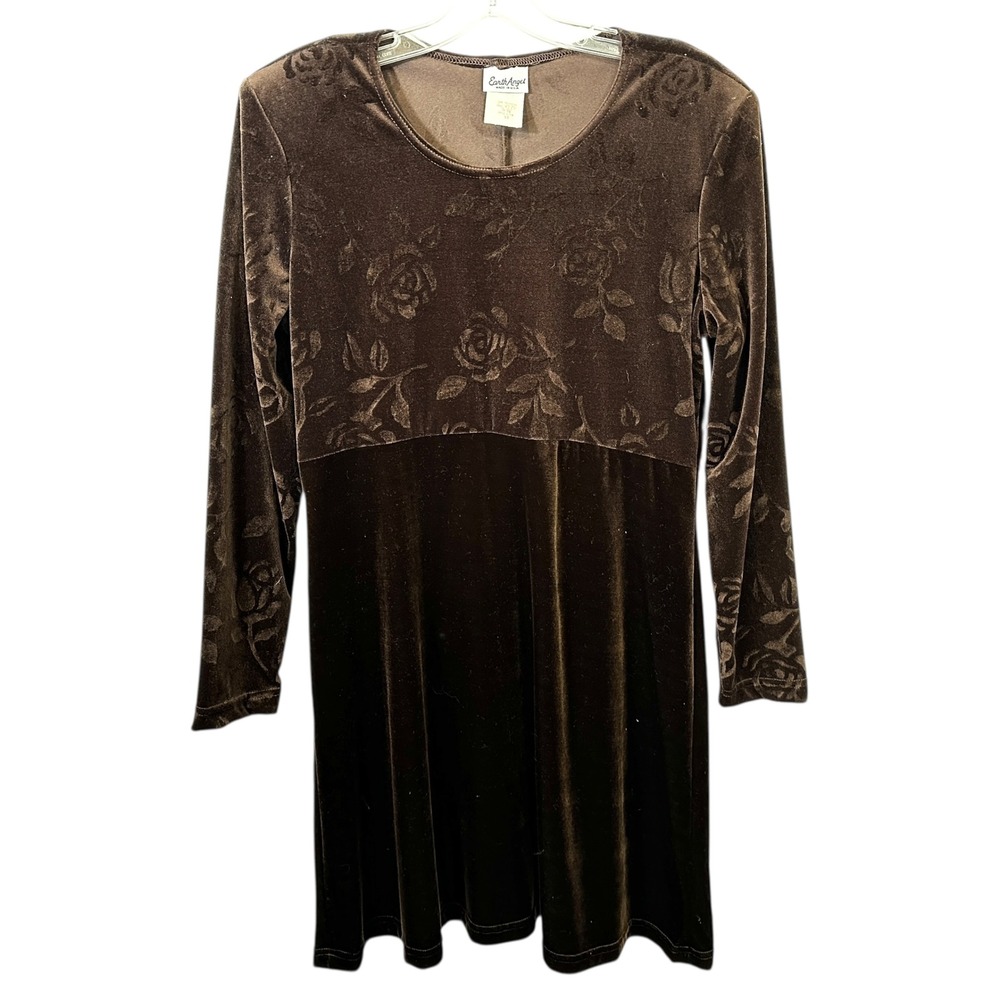 VTG‎ Dress Brown Velvet Burnout Sz 12 Rose Print A-Line Y2K 90s Long Sleeve 1590